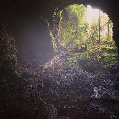 Jomblang Cave | Pindul Cave